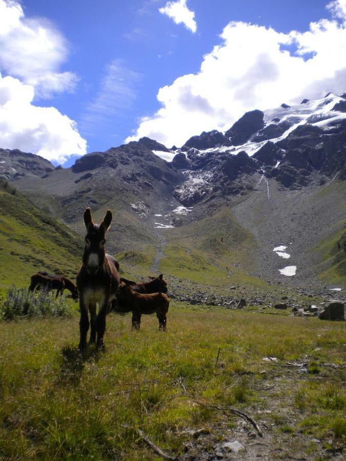 Apartment Da Renza Bormio Dış mekan fotoğraf